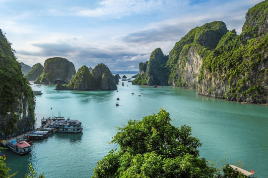 Halong Bay Cruises: A Perfect Romantic Getaway for Couples