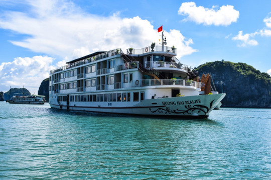 Enjoy Vietnamese Tet on a Halong Bay Cruise: A Unique Way to Celebrate the Lunar New Year