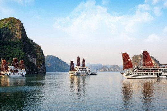 Tet Tourism in Halong Bay: A Unique Cruise Experience