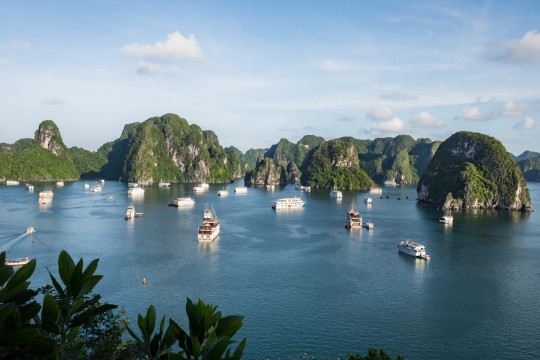 Halong Bay Spring Climate: Perfect Weather for a Cruise