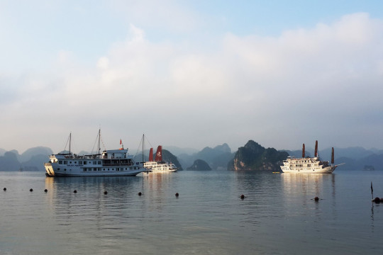 Halong Bay’s Spring Climate: Ideal for a Relaxing Cruise