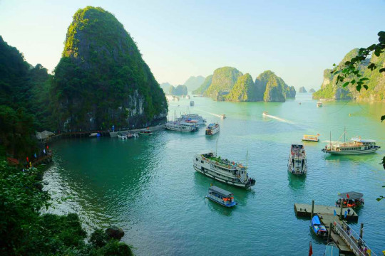 Experience Halong Bay’s Tet Tourism Traditions on a Cruise