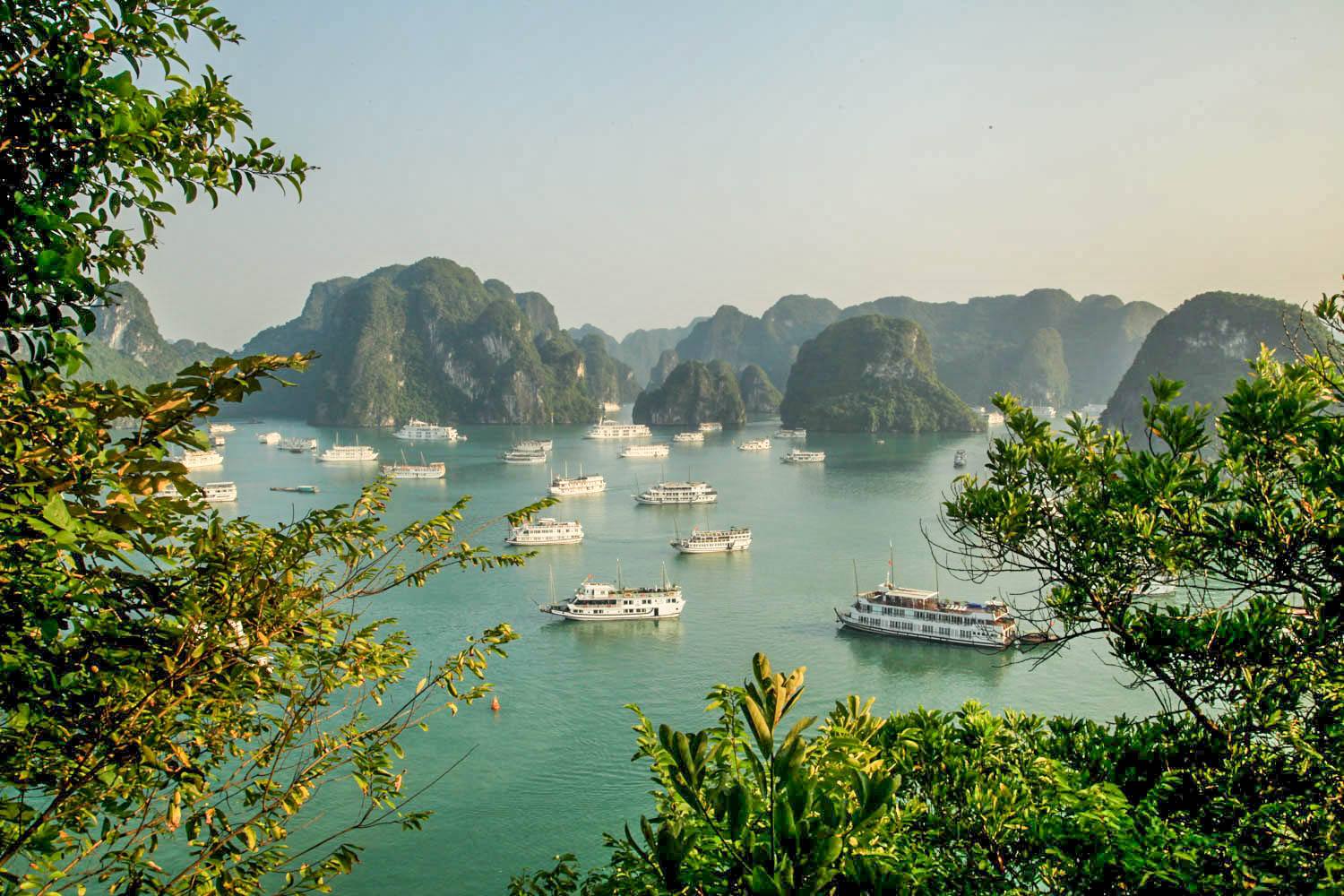 Enjoy Authentic Vietnamese Cuisine on a Halong Bay Cruise